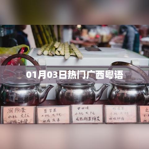 广西粤语热门资讯速递 01月03日动态速递