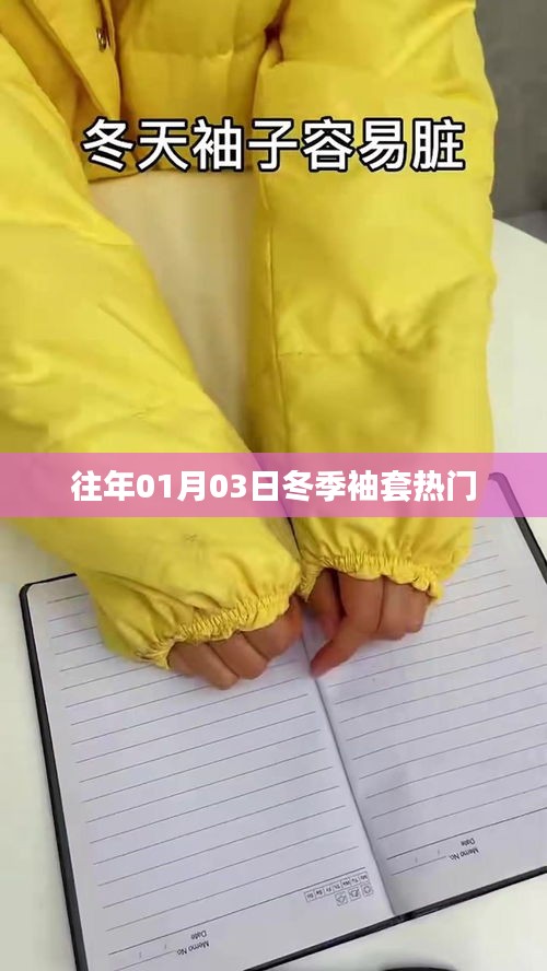 虫言鸟迹