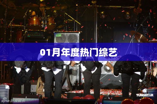 年度热门综艺大盘点