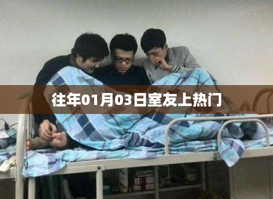 关于我们 第32页