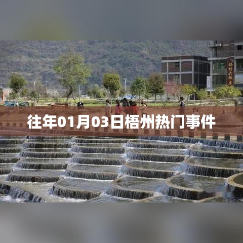 梧州元旦热门事件回顾