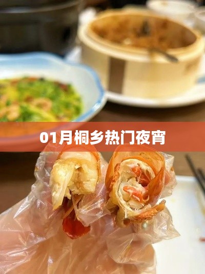 桐乡一月夜宵热门榜单