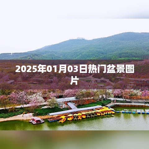 『盆景爱好者必看，最新盆景美图集』