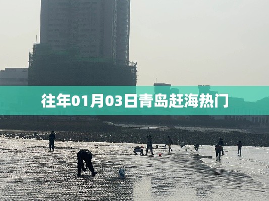 『青岛赶海热潮，一月份三日盛况』