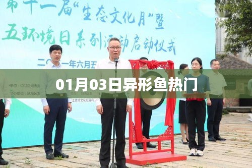 异形鱼热门资讯速递，最新动态一网打尽