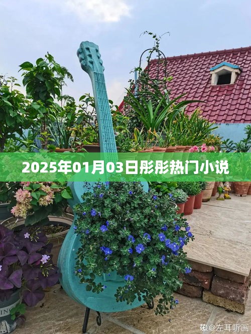 彤彤小说，最新热门作品发布于2025年