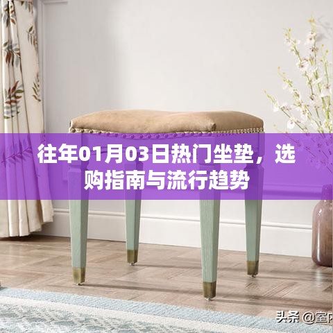选购坐垫指南，流行趋势与选购建议（往年元旦热门款）