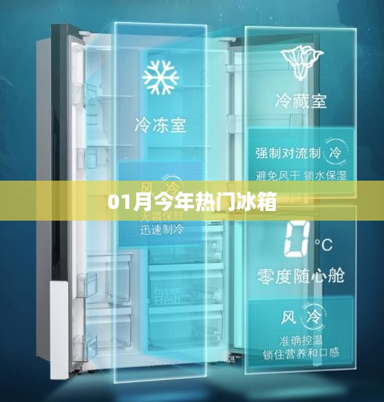 本月热门冰箱推荐榜单