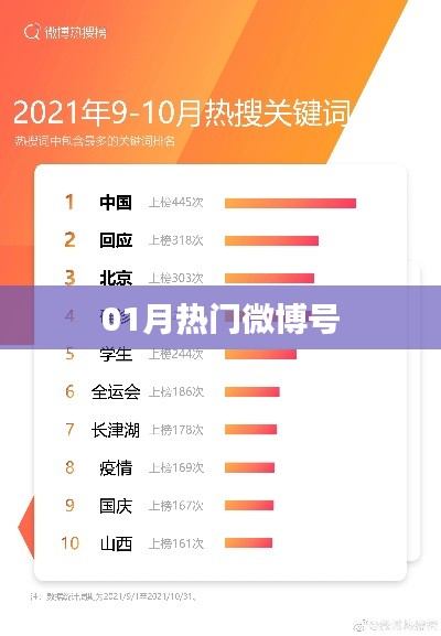 微博热门账号大盘点，一月精选热门微博号