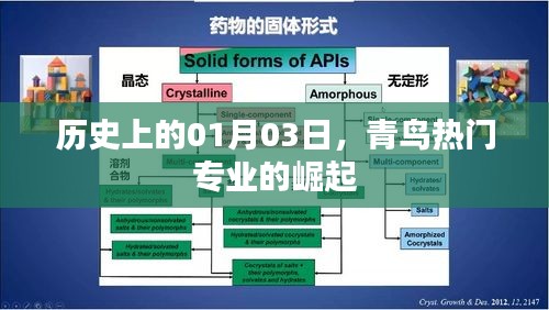 青鸟热门专业崛起，历史一月三日回顾
