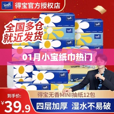 01月小宝纸巾，热门选择，品质之选