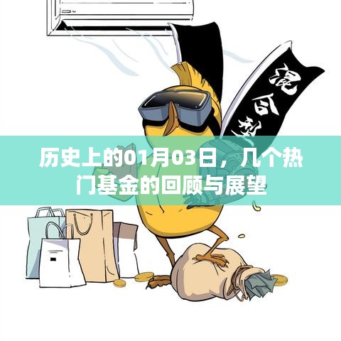 热门基金回顾与展望，历史上的01月03日