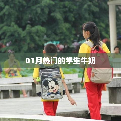 关于我们 第28页