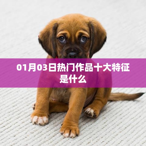热门作品十大特征揭秘，01月03日流行趋势分析