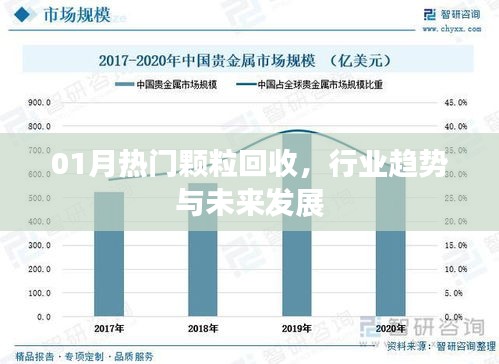 热门颗粒回收行业趋势及未来发展展望