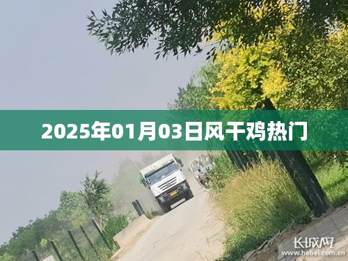 风干鸡热门资讯，揭秘2025年市场趋势