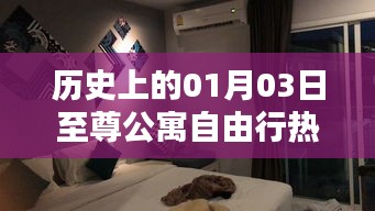 至尊公寓自由行指南，一月三日热门攻略回顾