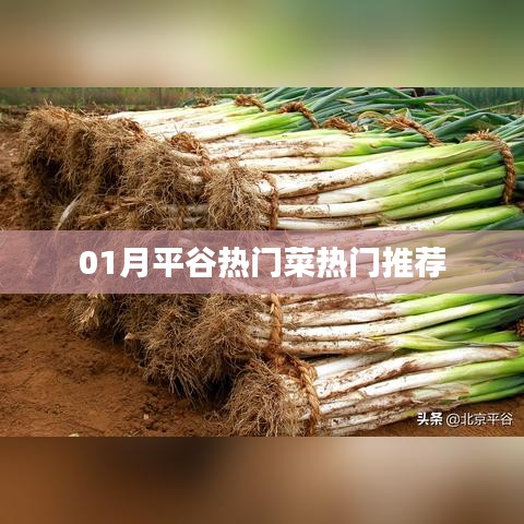 关于我们 第27页