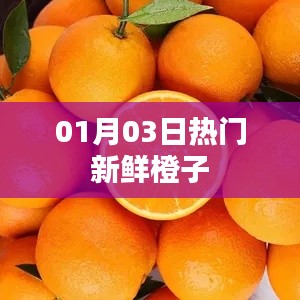 新鲜橙子，每日热门推荐