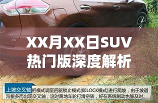 SUV热门版深度解析，全方位解读车型特点