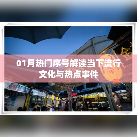 热门序号解析，当下流行文化与热点事件回顾（一月版）