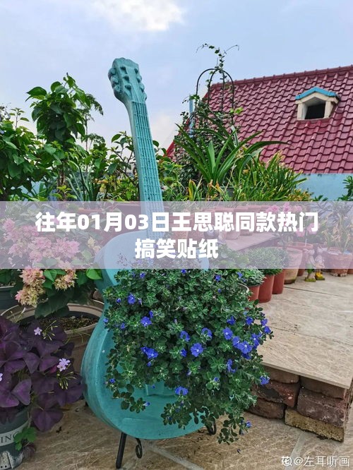 神采飞扬