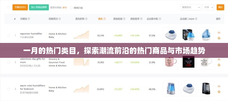 一月潮流热门类目，探索市场趋势与前沿商品
