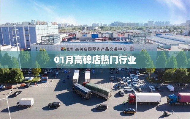 高碑店热门行业一月份动态
