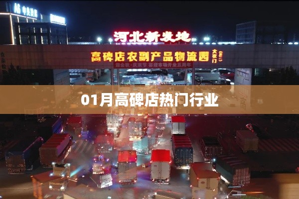 高碑店热门行业一月份动态