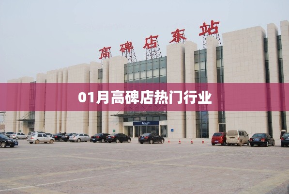 高碑店热门行业一月份动态