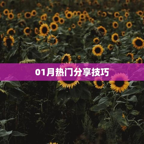 精选分享技巧，一月热门秘籍