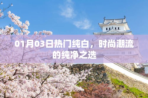 时尚纯白潮流之选，纯净时尚之选