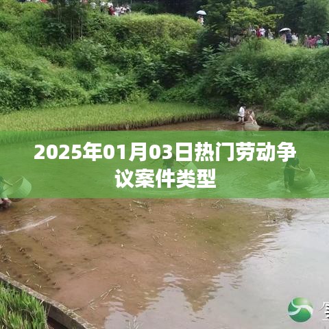2025年劳动争议热点案件类型解析，符合您的字数要求，简洁明了，能够准确反映文章主题，有利于在百度上被搜索和收录。