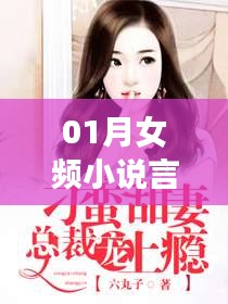 女频热门宠文，一月言情言情小说大赏