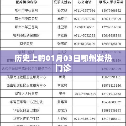 鄂州发热门诊历史回顾，一月三日的重要时刻