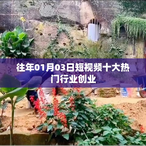 短视频热门行业创业趋势分析，历年一月初创业新风口