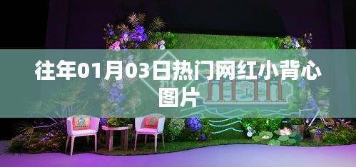精选网红小背心图片，时尚潮流尽在掌握