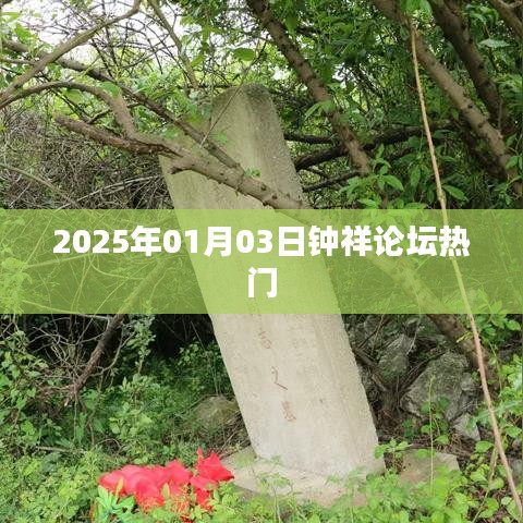 钟祥论坛热门话题聚焦，2025年展望