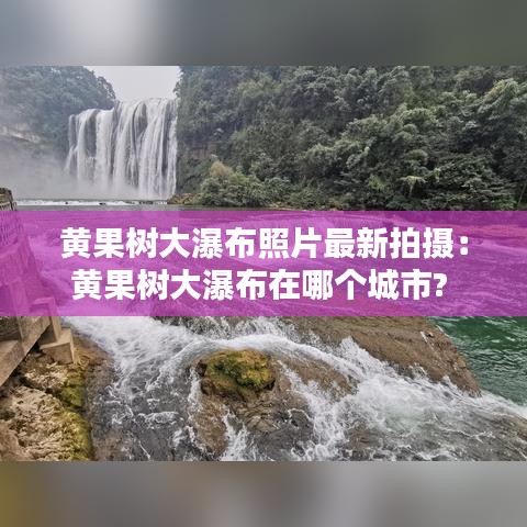 雅量高致