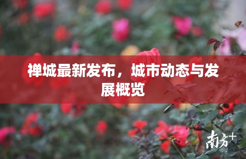 禅城最新发布，城市动态与发展概览