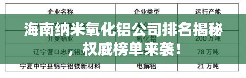 海南纳米氧化铝公司排名揭秘，权威榜单来袭！