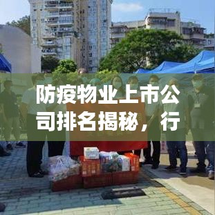 雍容典雅