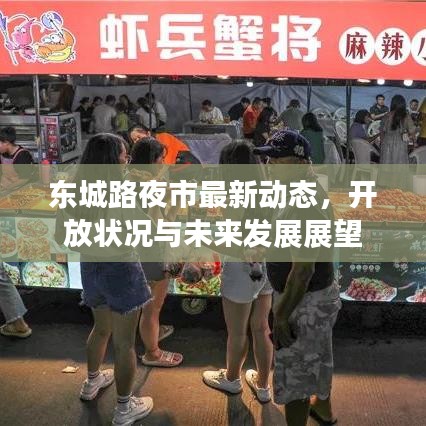东城路夜市最新动态，开放状况与未来发展展望