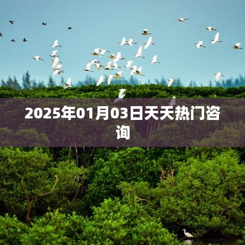 天天热门咨询，2025年展望，符合您要求的字数范围，同时包含了关键信息，能够吸引用户的注意力。希望符合您的要求。