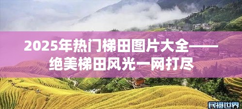 2025绝美梯田风光图片大全，尽览梯田之美