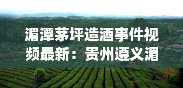 湄潭茅坪造酒事件视频最新:贵州遵义湄潭茅坪