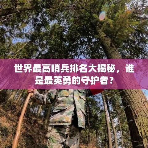 世界最高哨兵排名大揭秘，谁是最英勇的守护者？
