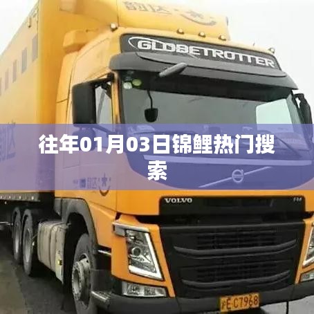 锦鲤热门搜索历年一月初趋势概览