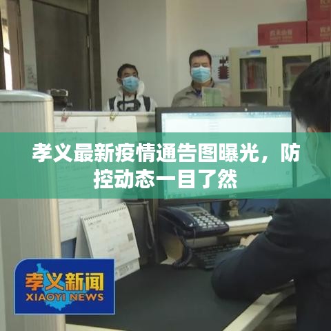 候鸟南飞