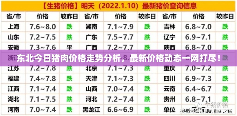 东北今日猪肉价格走势分析，最新价格动态一网打尽！